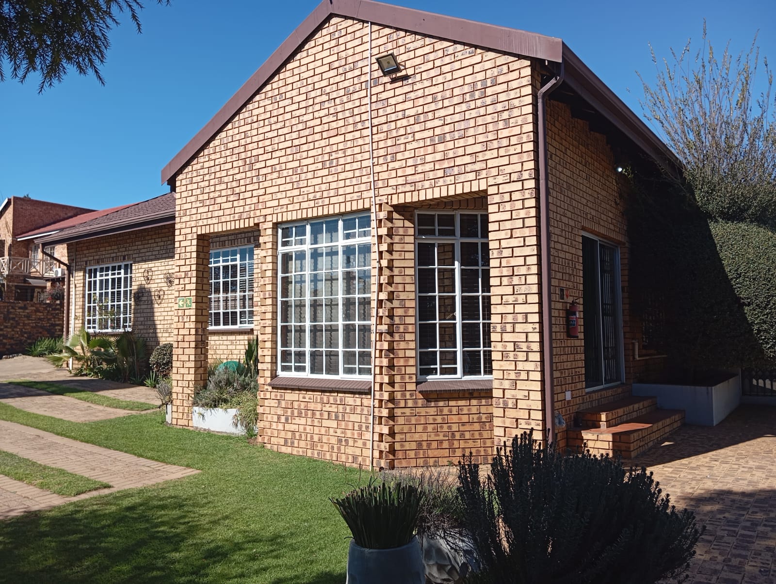 WhatsApp Image 2025-08-13 at 11.34.39